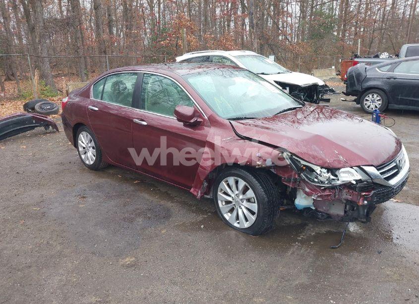 2015 Honda Accord EX-L (VIN 1HGCR2F82FA141300) main photo