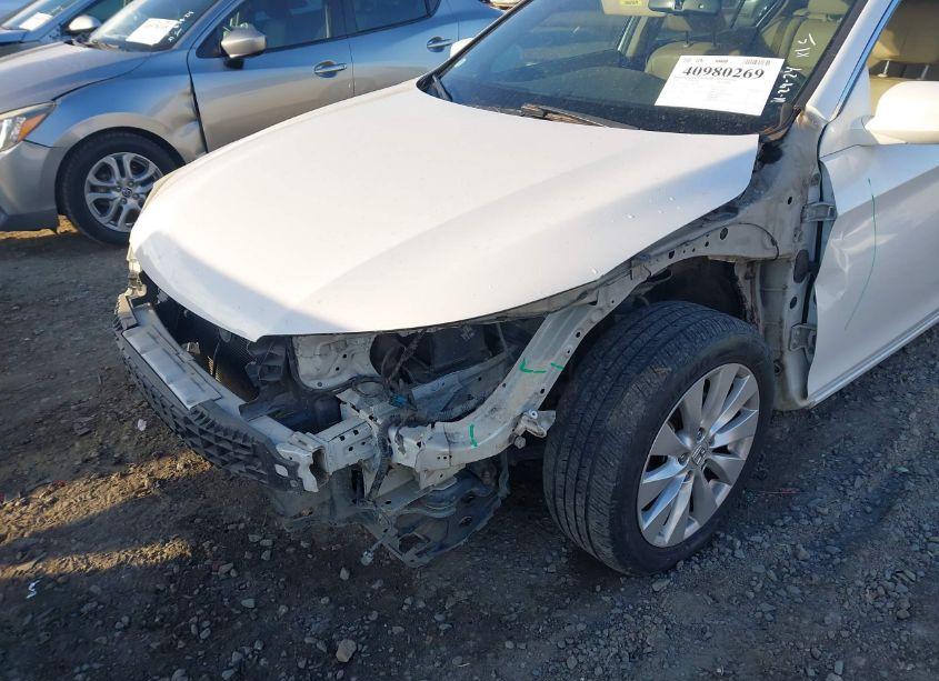 Photo 6 of 2014 Honda Accord EX-L (VIN 1HGCR2F83EA088699)