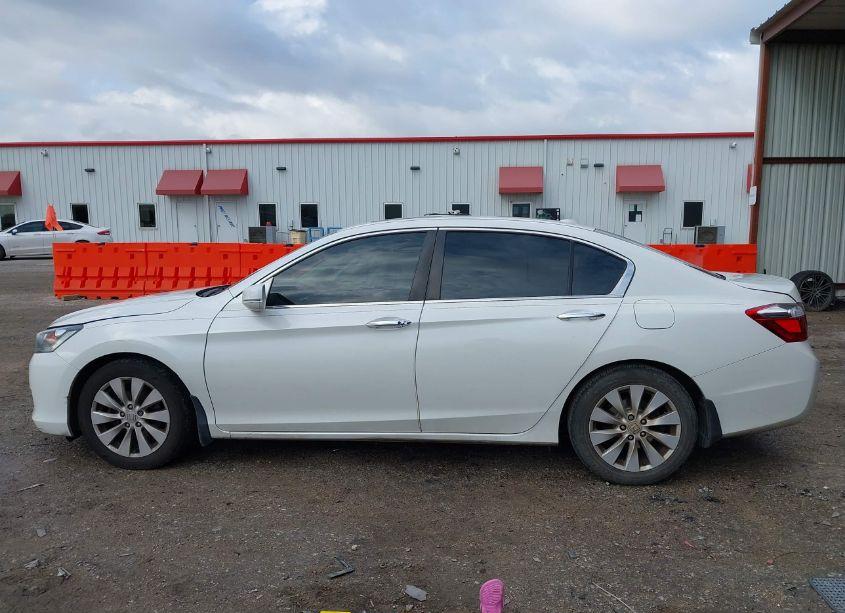 Photo 14 of 2014 Honda Accord EX-L (VIN 1HGCR2F83EA231828)