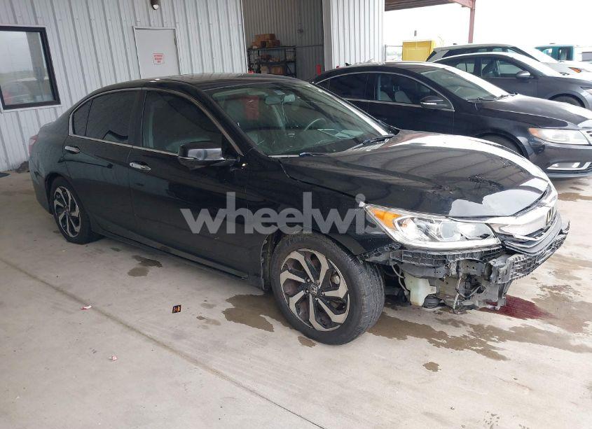 2016 Honda Accord EX-L (VIN 1HGCR2F83GA101230) main photo