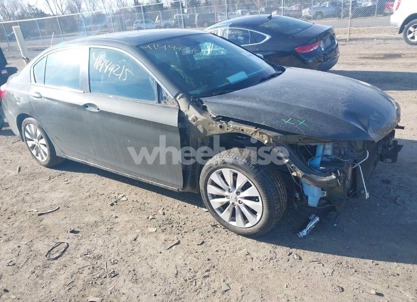 2013 Honda Accord EX-L (VIN 1HGCR2F87DA225397) main photo