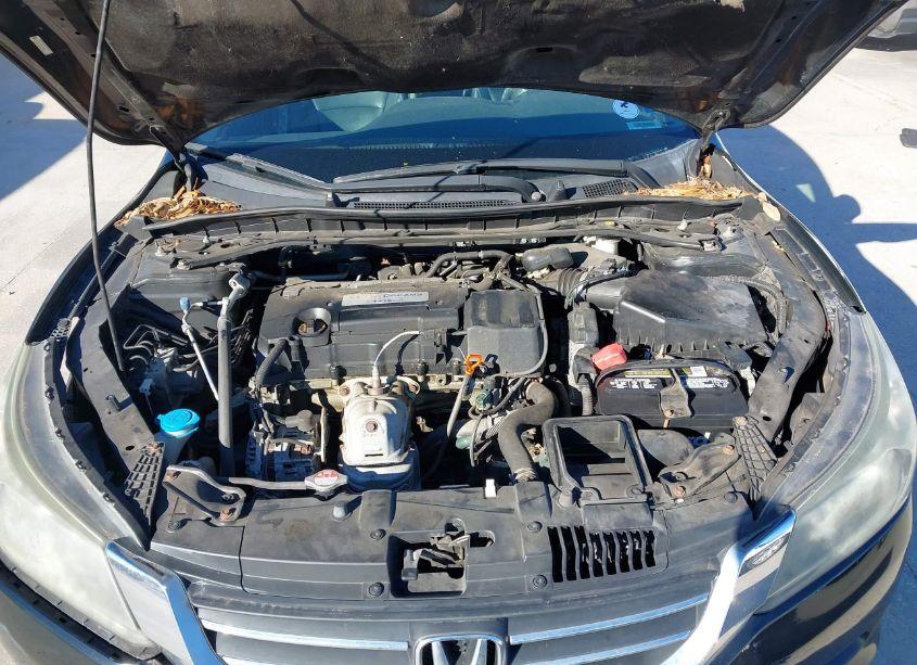 Photo 10 of 2014 Honda Accord EX-L (VIN 1HGCR2F87EA080850)