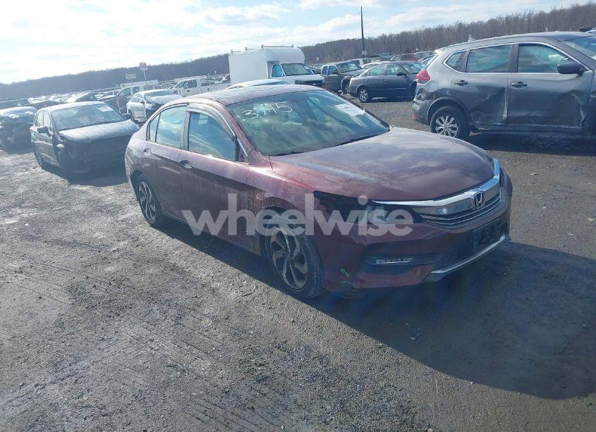2017 Honda Accord EX-L (VIN 1HGCR2F87HA203745) main photo