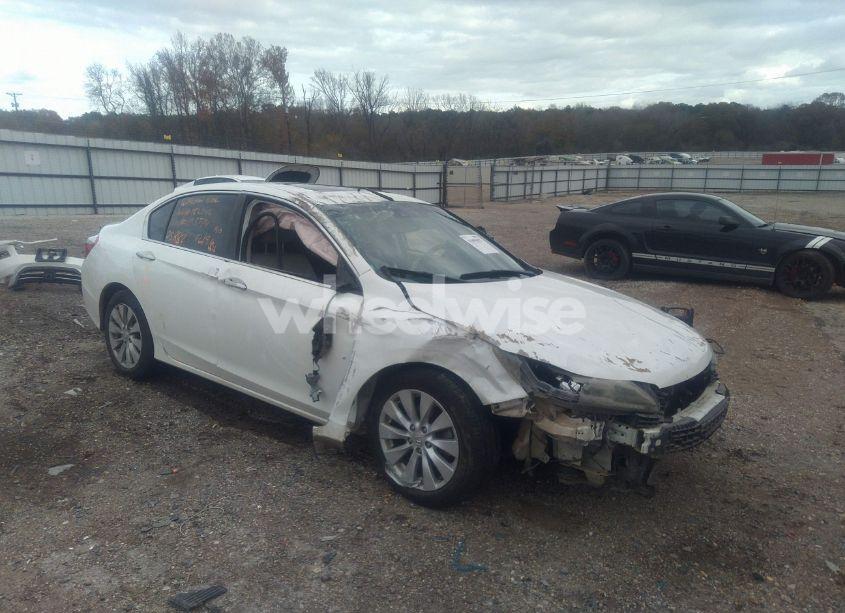 2013 Honda Accord EX-L (VIN 1HGCR2F8XDA098774) main photo