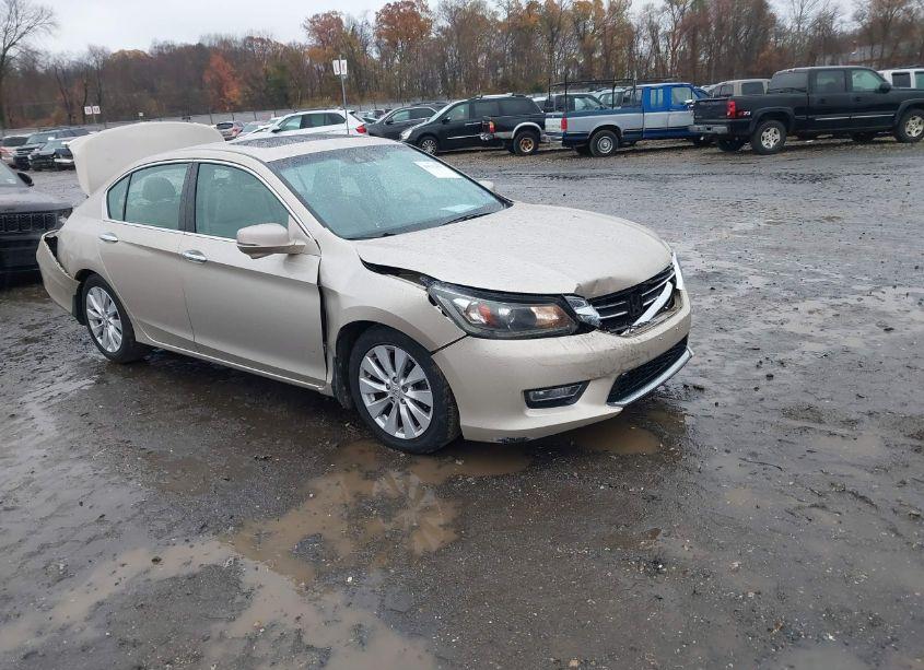 2013 Honda Accord EX-L (VIN 1HGCR2F8XDA202793) main photo