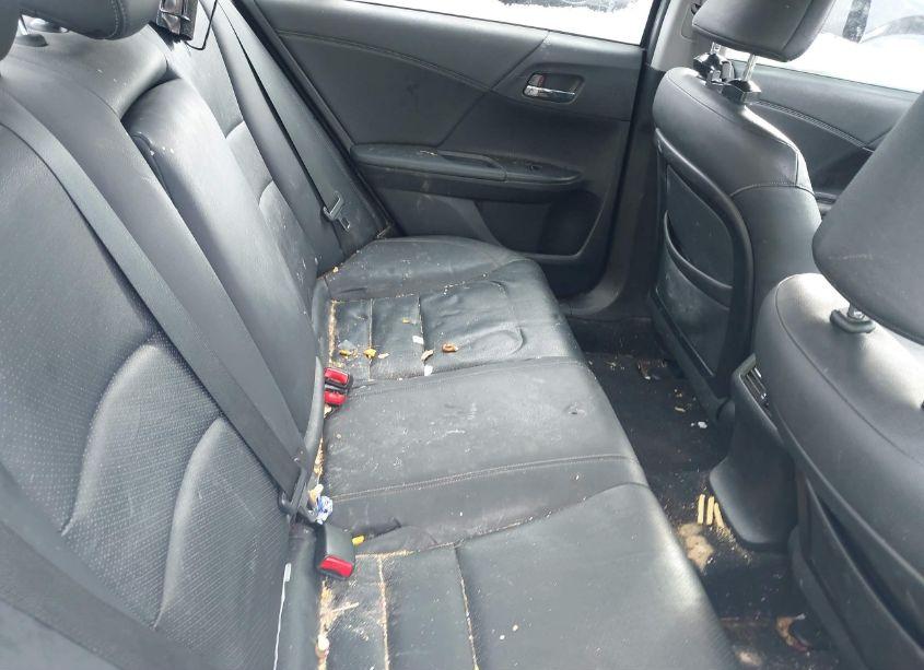 Photo 8 of 2013 Honda Accord EX-L (VIN 1HGCR2F8XDA233056)