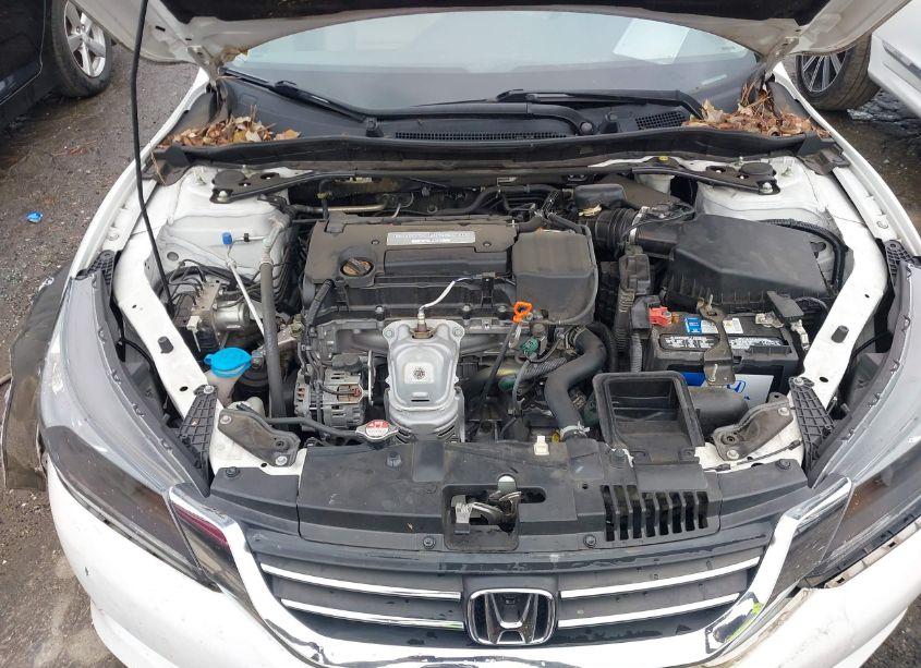 Photo 10 of 2014 Honda Accord EX-L (VIN 1HGCR2F8XEA139440)