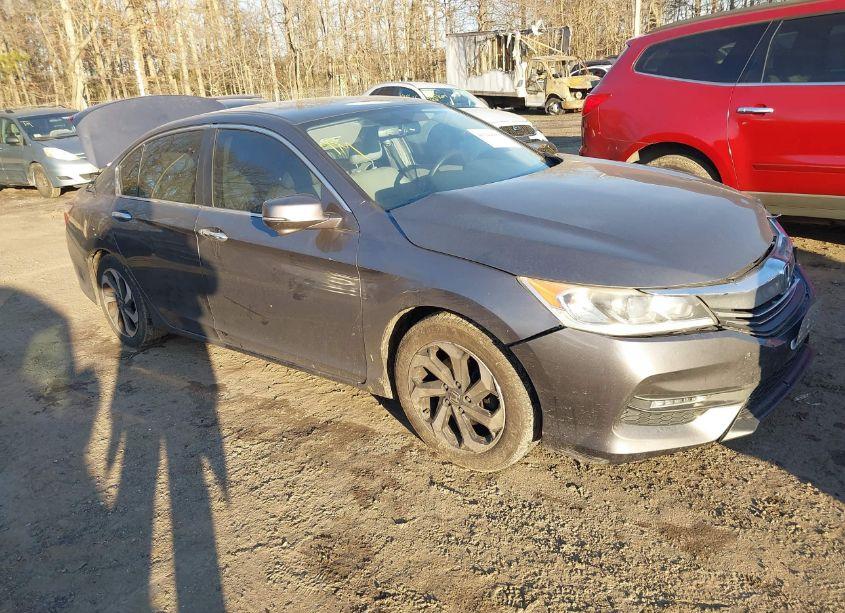 2017 Honda Accord EX-L (VIN 1HGCR2F8XHA209443) main photo
