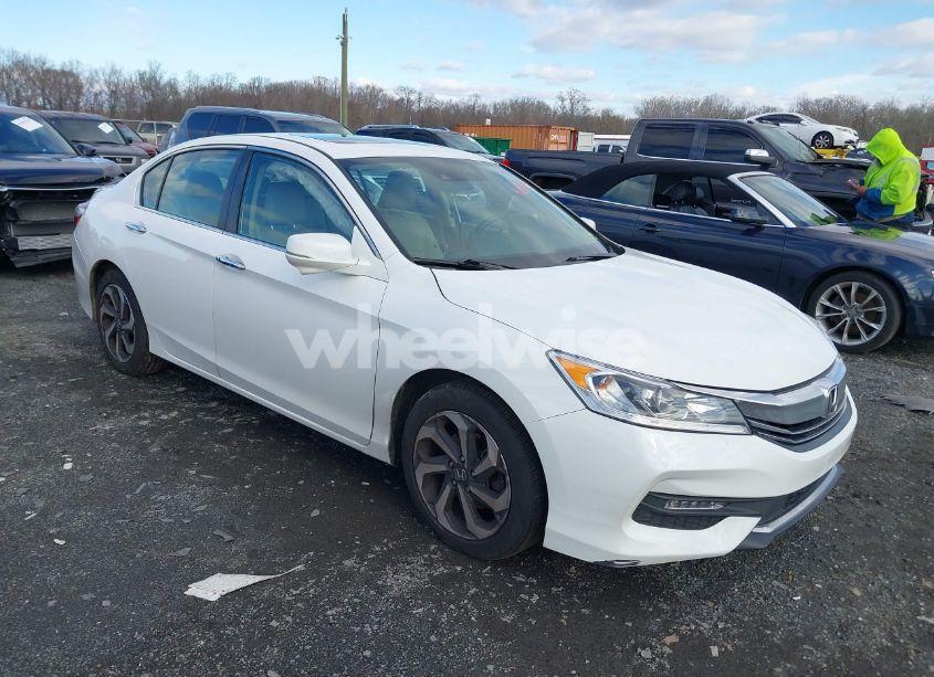 2016 Honda Accord EX-L (VIN 1HGCR2F98GA244974) main photo