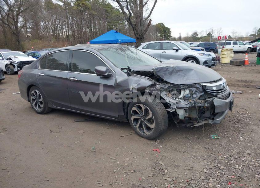 Photo 13 of 2016 Honda Accord EX-L V-6 (VIN 1HGCR3F01GA002728)