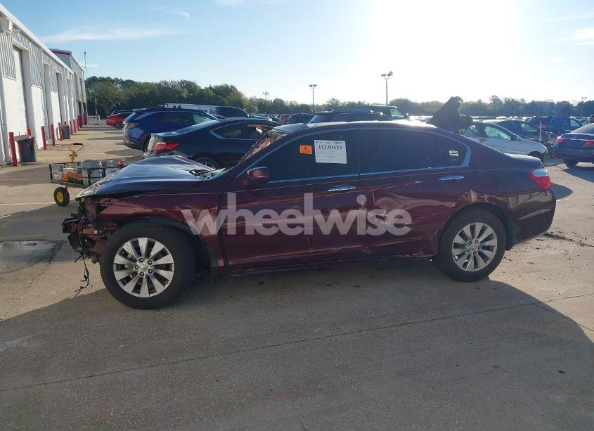 Photo 13 of 2013 Honda Accord EX-L V-6 (VIN 1HGCR3F81DA033088)