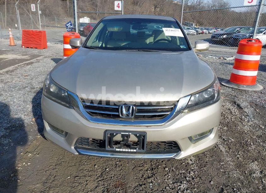 Photo 12 of 2013 Honda Accord EX-L V-6 (VIN 1HGCR3F83DA006622)