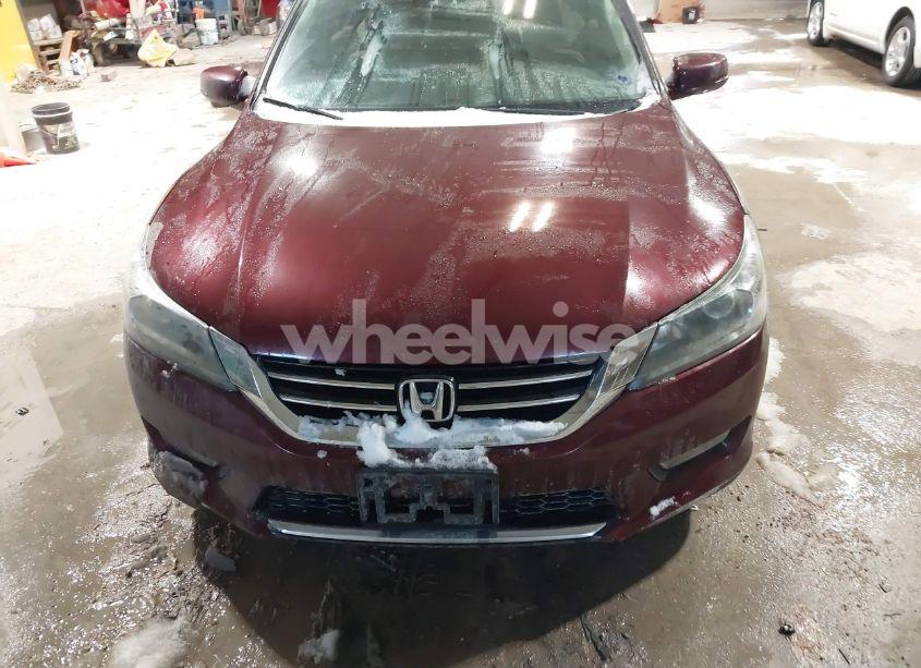 Photo 12 of 2013 Honda Accord EX-L V-6 (VIN 1HGCR3F85DA039458)