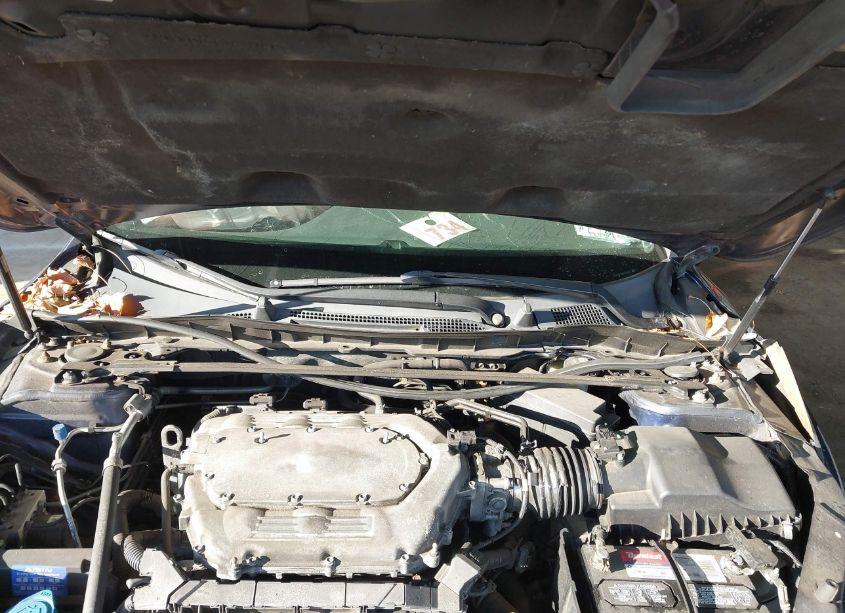 Photo 10 of 2013 Honda Accord EX-L V-6 (VIN 1HGCR3F87DA012004)