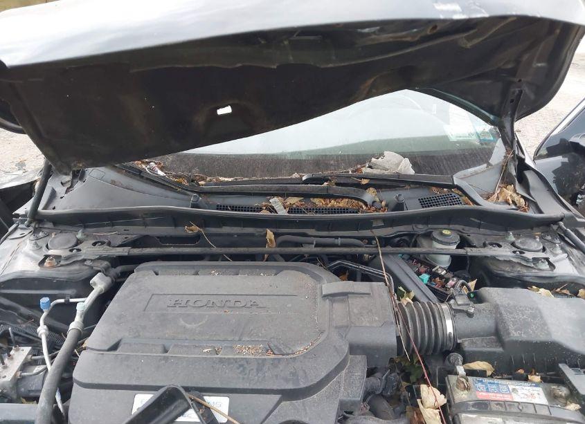 Photo 10 of 2014 Honda Accord EX-L V-6 (VIN 1HGCR3F88EA030206)