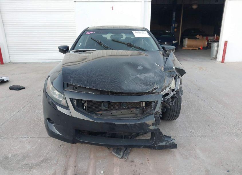 Photo 12 of 2009 Honda Accord 2.4 EX (VIN 1HGCS12759A014766)
