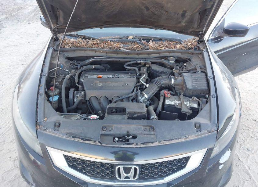 Photo 10 of 2008 Honda Accord 2.4 EX-L/EX-L (VIN 1HGCS12828A011640)