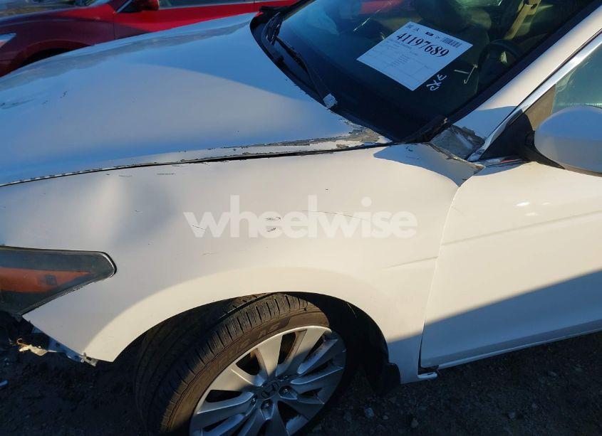 Photo 19 of 2008 Honda Accord 2.4 EX-L/EX-L (VIN 1HGCS12828A014537)