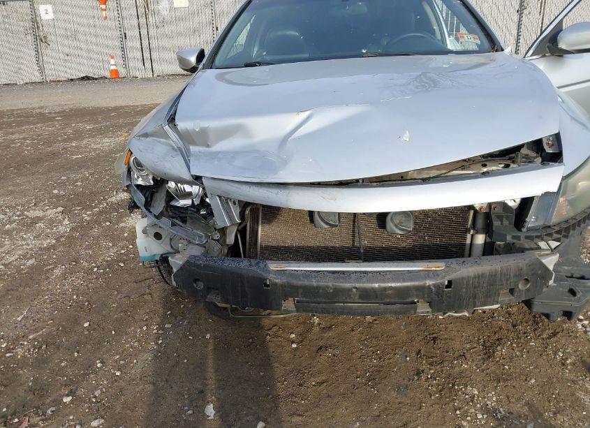 Photo 14 of 2008 Honda Accord 2.4 EX-L/EX-L (VIN 1HGCS12838A012666)