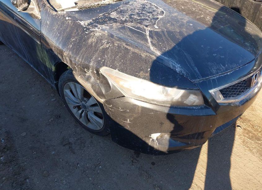 Photo 6 of 2009 Honda Accord 2.4 EX-L (VIN 1HGCS12859A023914)