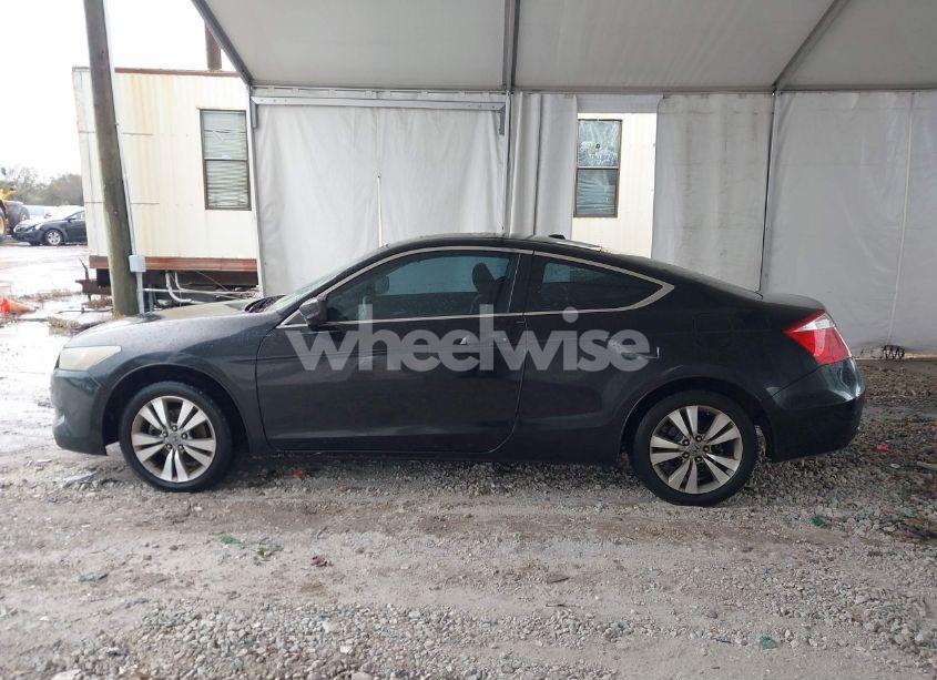 Photo 14 of 2009 Honda Accord 2.4 EX-L (VIN 1HGCS12879A026393)