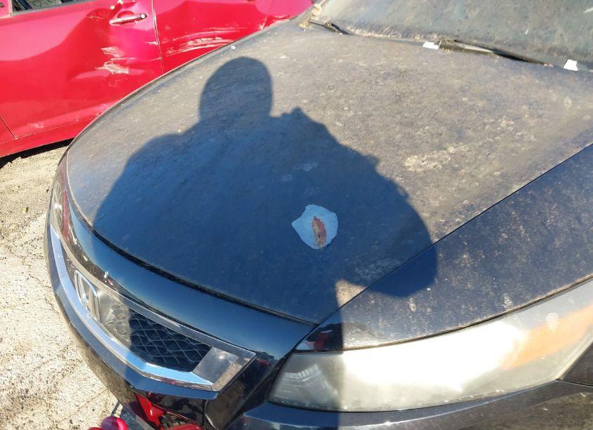 Photo 6 of 2009 Honda Accord 2.4 EX-L (VIN 1HGCS12889A005004)