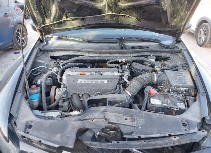 Photo 10 of 2010 Honda Accord 2.4 EX (VIN 1HGCS1B73AA005102)