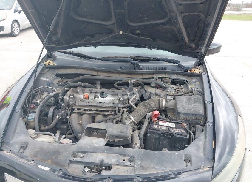 Photo 10 of 2010 Honda Accord 2.4 EX-L (VIN 1HGCS1B81AA001445)
