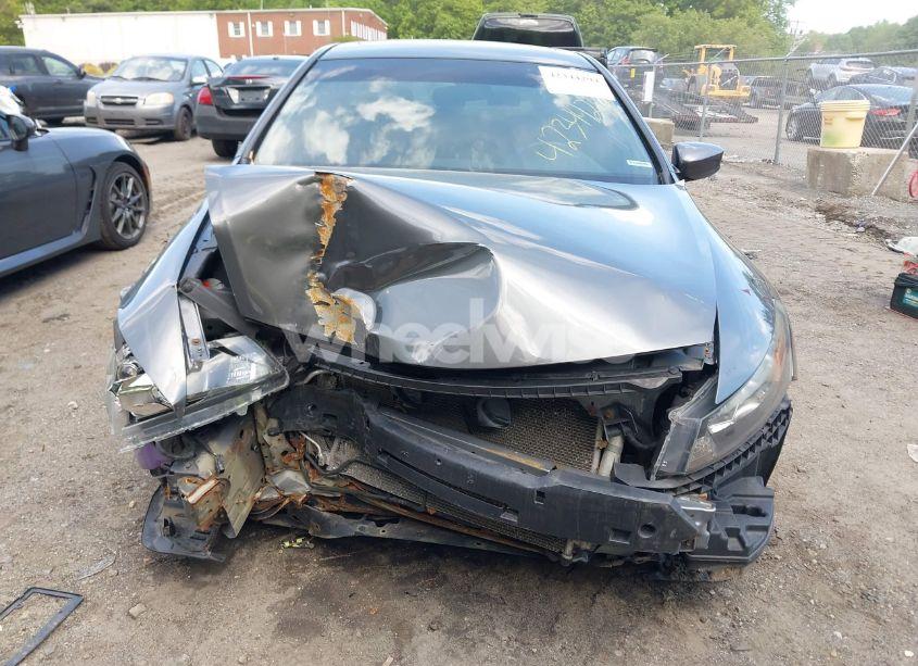 Photo 6 of 2010 Honda Accord 2.4 EX-L (VIN 1HGCS1B8XAA002920)