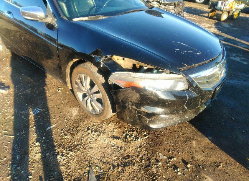 Photo 6 of 2011 Honda Accord 2.4 EX-L (VIN 1HGCS1B8XBA000229)