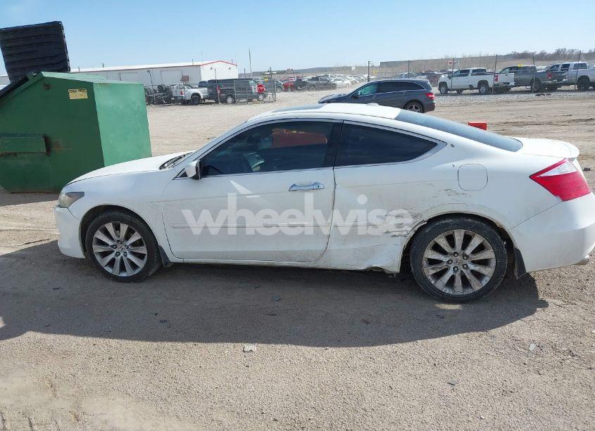 Photo 14 of 2008 Honda Accord EXL (VIN 1HGCS22868A007483)