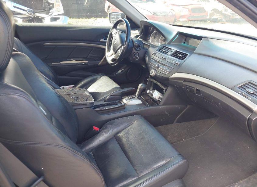 Photo 5 of 2009 Honda Accord 3.5 EX-L (VIN 1HGCS228X9A008704)