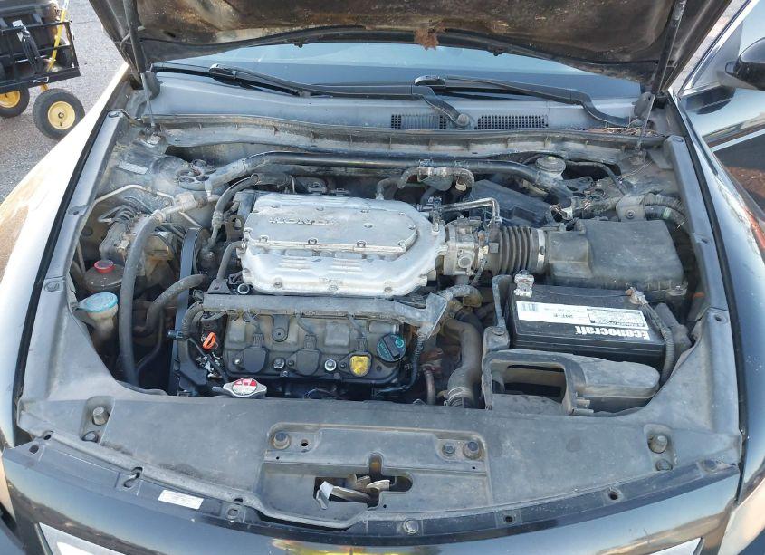 Photo 10 of 2009 Honda Accord 3.5 EX-L (VIN 1HGCS228X9A011103)