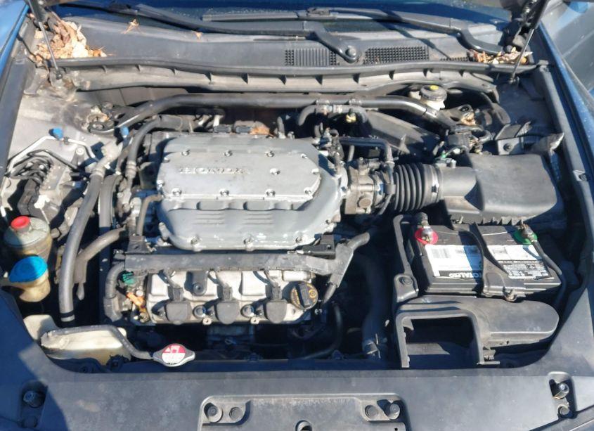 Photo 10 of 2011 Honda Accord 3.5 EX-L (VIN 1HGCS2B81BA002585)