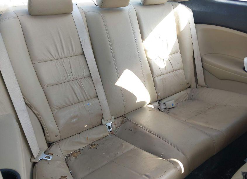 Photo 8 of 2011 Honda Accord 3.5 EX-L (VIN 1HGCS2B81BA004076)