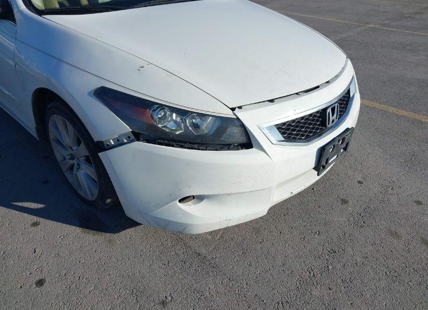 Photo 6 of 2010 Honda Accord 3.5 EX-L (VIN 1HGCS2B82AA002917)