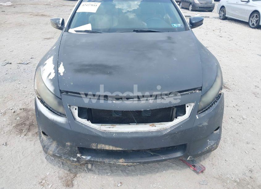 Photo 6 of 2010 Honda Accord 3.5 EX-L (VIN 1HGCS2B82AA005798)