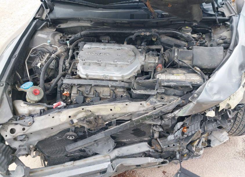 Photo 10 of 2010 Honda Accord 3.5 EX-L (VIN 1HGCS2B85AA007304)