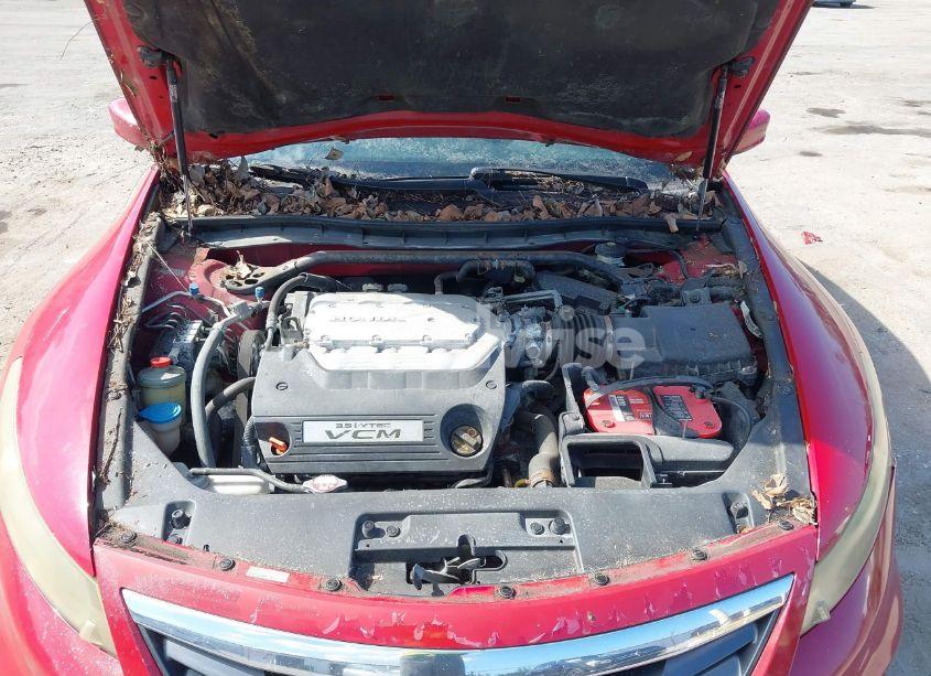 Photo 10 of 2011 Honda Accord 3.5 EX-L (VIN 1HGCS2B87BA001876)