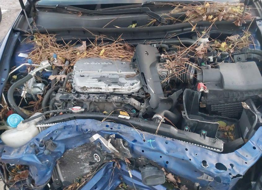 Photo 10 of 2010 Honda Accord 3.5 EX-L (VIN 1HGCS2B89AA006995)