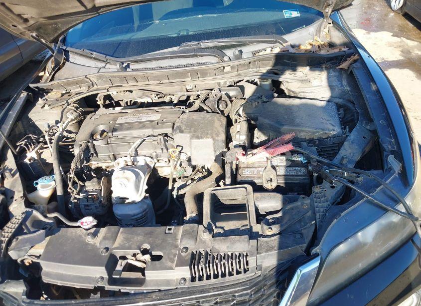 Photo 10 of 2013 Honda Accord LX-S (VIN 1HGCT1B33DA013277)