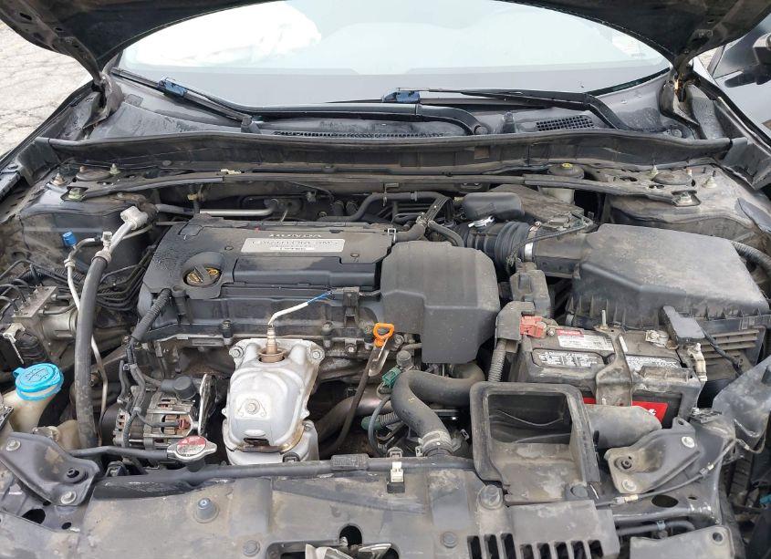 Photo 10 of 2013 Honda Accord LX-S (VIN 1HGCT1B35DA002166)