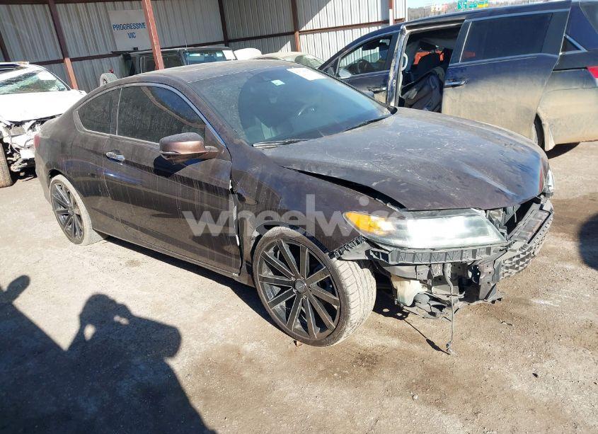 Photo 13 of 2013 Honda Accord EX-L V-6 (VIN 1HGCT2B81DA012842)