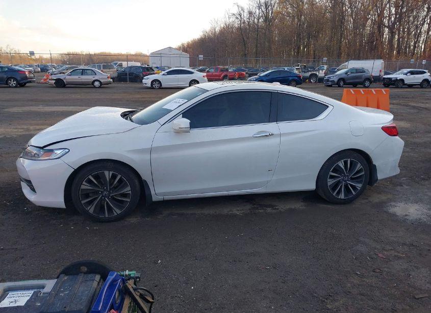 Photo 13 of 2016 Honda Accord EX-L V-6 (VIN 1HGCT2B97GA007495)