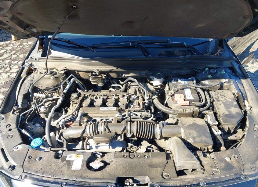 Photo 10 of 2019 Honda Accord LX (VIN 1HGCV1F10KA153366)