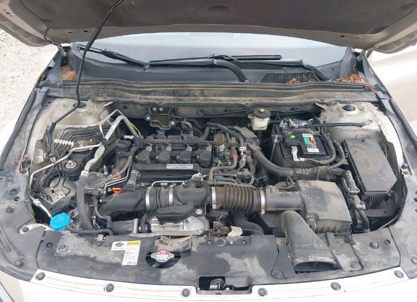 Photo 10 of 2019 Honda Accord LX (VIN 1HGCV1F11KA014153)