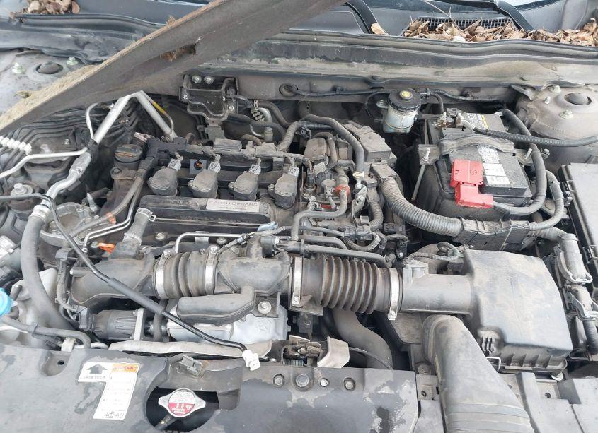 Photo 10 of 2019 Honda Accord LX (VIN 1HGCV1F11KA019756)