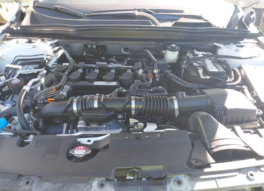 Photo 10 of 2019 Honda Accord LX (VIN 1HGCV1F13KA016986)