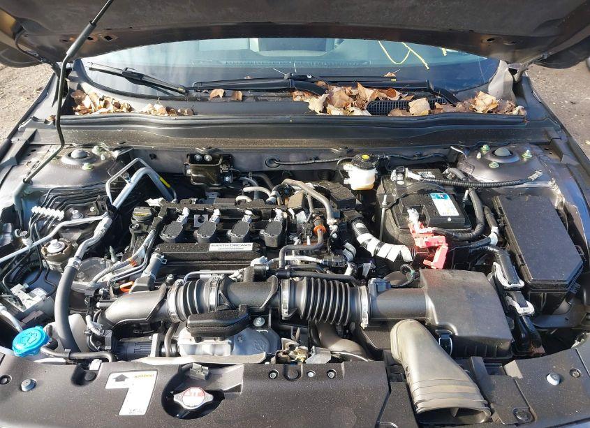 Photo 10 of 2019 Honda Accord LX (VIN 1HGCV1F13KA069008)