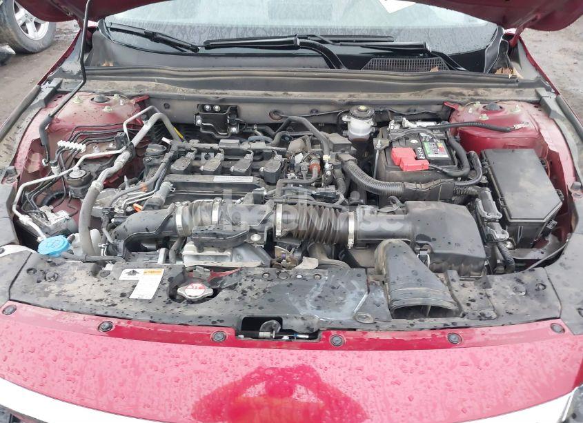 Photo 10 of 2019 Honda Accord LX (VIN 1HGCV1F15KA042828)